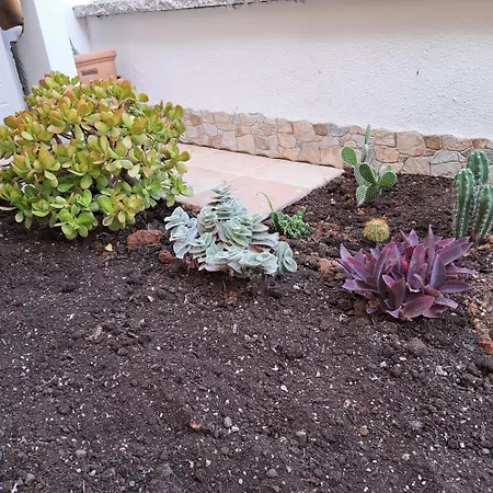 Hébergement de vacances House *